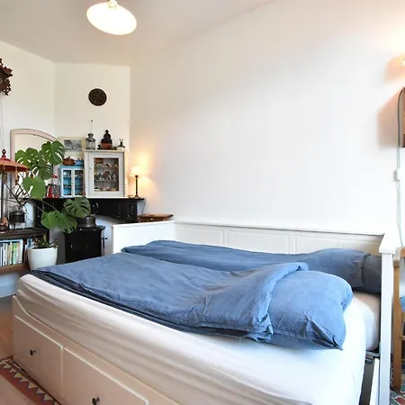 De Kleine Regentes Ferienhaus *