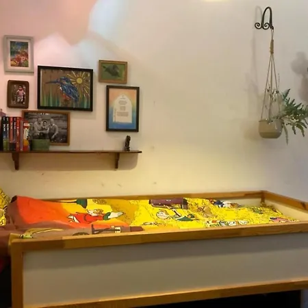 De Kleine Regentes Ferienhaus *